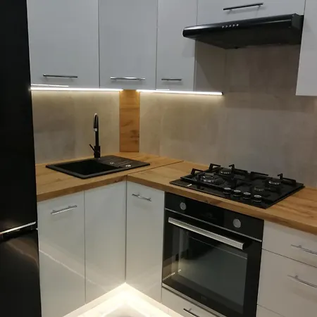 Mieszkanie W Centrum Miasta Daire